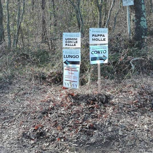  275 i Famosi Vicari !!!